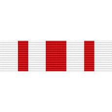 Puerto Rico National Guard Civil Disturbance Ribbon